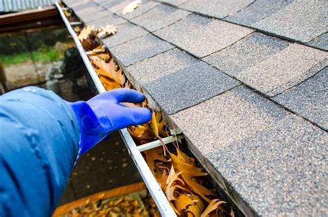 Gutter Cleaning Guide | Best Gutter Cleaners