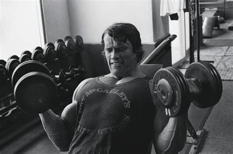 2560x1700 Resolution Arnold Schwarzenegger In Gym Photos Chromebook Pixel Wallpaper - Wallpapers Den