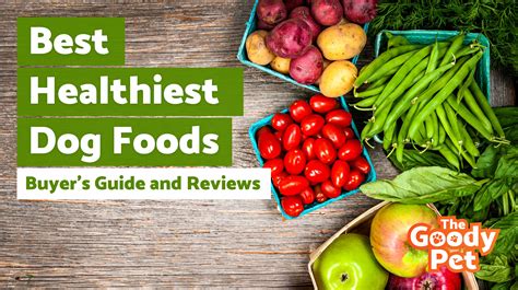 7 Best Healthiest Dog Food – Ingredients + Brands (January 2020) | TheGoodyPet