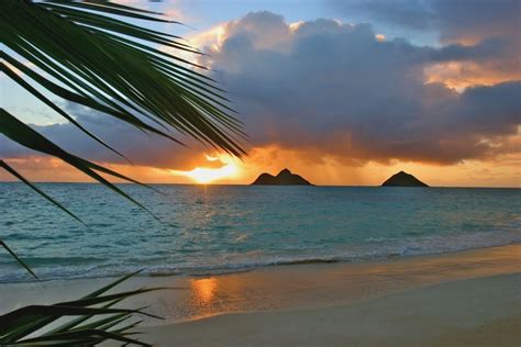 Hawaii, Oahu, Dramatic Sunrise At Lanikai Beach, Mokulua Islands, Palm Fron - Tanga