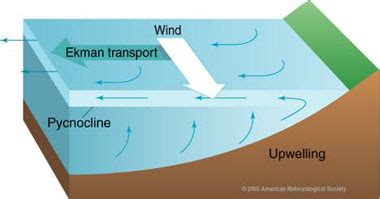 Ocean Motion : Definition : Wind Driven Surface Currents - Upwelling and Downwelling