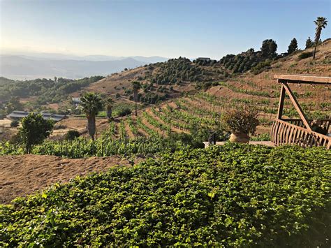 Ramona Valley Wine Country, an Up and Coming Wine Region - Wine Along The 101