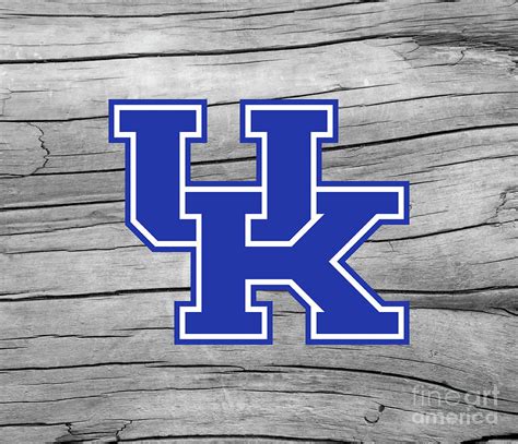 University of Kentucky Wildcats Logo On Gray Rustic Wood Digital Art by John Stephens | Fine Art ...