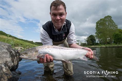 River Tweed Fishing Guide and Fly Fishing Instructor