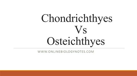 Difference between Chondrichthyes (cartilaginous fish) and Osteichthyes (bony fish) - Online ...