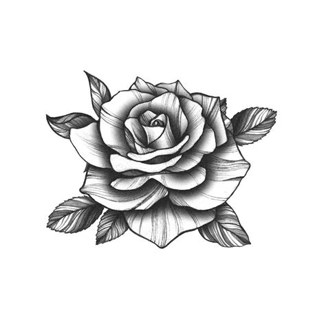 Black Rosebud Tattoo | Realistic Temporary Tattoos – TattooIcon