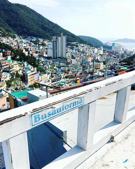 Gamcheon Culture Village Guide - 22 Things To Do And Cafes To Visit