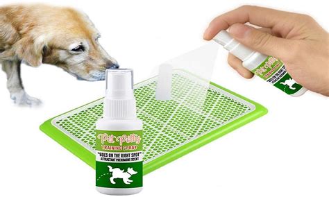 Best Dog Poop Training Sprays 2024 with Attractive Scent – Pet Guide ...