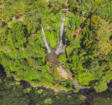 Premium Photo | Beautiful tropical sekumpul waterfall in bali indonesia