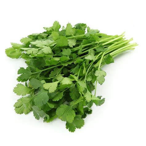 Fresh Coriander herbs - kg