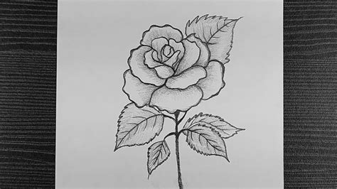 Realistic Rose Pencil Drawing || How To Draw Rose Pencil Drawing ...