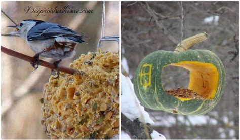 Backyard Birds & Natural Winter Food Sources We Can Provide