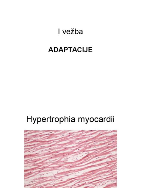 Patologija Slike Sa Prakticnog I, Adaptacije | PDF