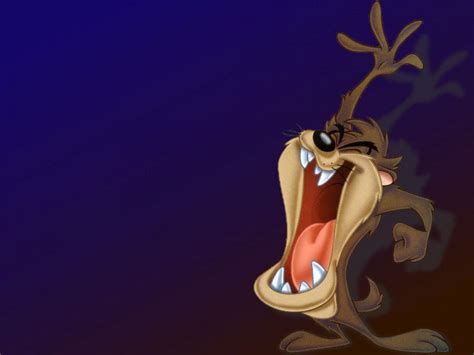 Tasmanian Devil Wallpapers - Wallpaper Cave