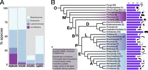 The genetic factors of bilaterian evolution | eLife