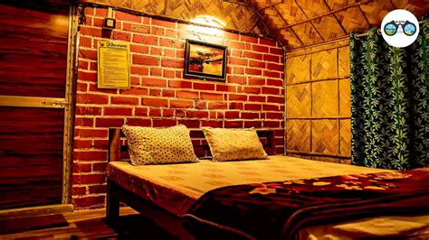 Book Digha Beach Glamping at Affordable Price | Alafiia Tourism