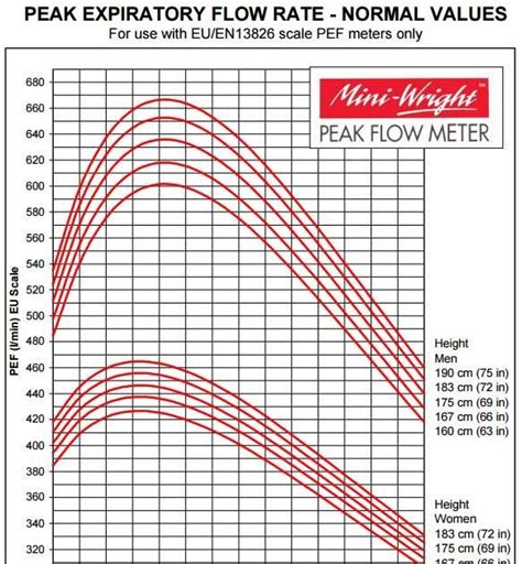 Best Templates: Asthma Peak Flow Diary Peak Flow Meter Readings Patient