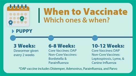 Dog and Puppy Vaccination Schedule: When to Get What Shots