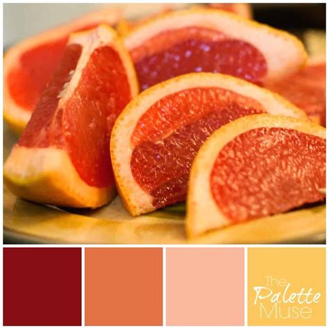 Grapefruit Palette - The Palette Muse