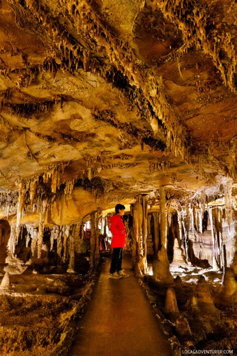 Lehman Caves Tours Great Basin National Park - What You Need to Know