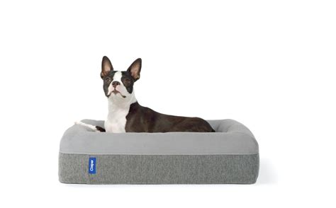 Dog Bed (Small, Medium or Large) | Casper®