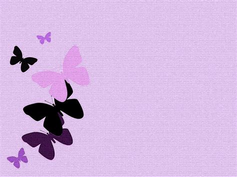 Purple Butterflies Wallpapers - Top Free Purple Butterflies Backgrounds ...