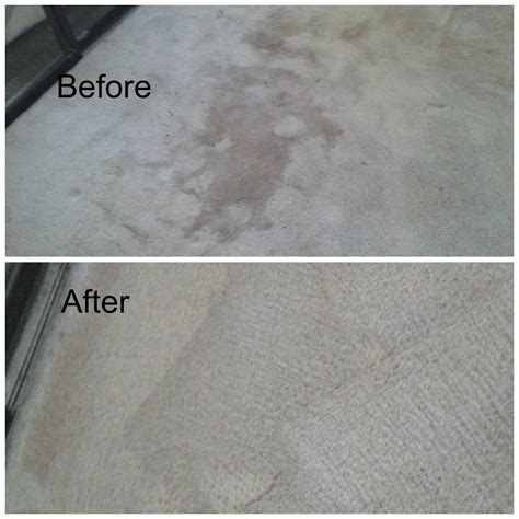 Before & After carpet – Complete Care