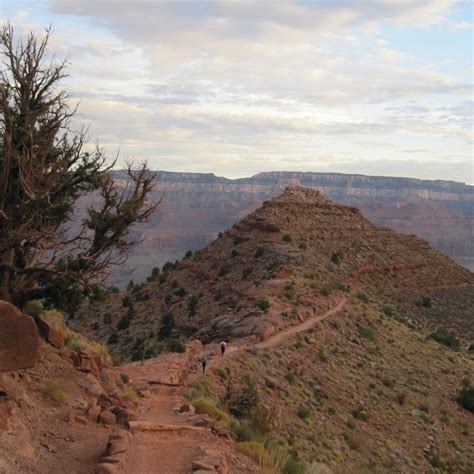 Grand Canyon North Rim vs South Rim: 10 Key Differences - TravelAwaits