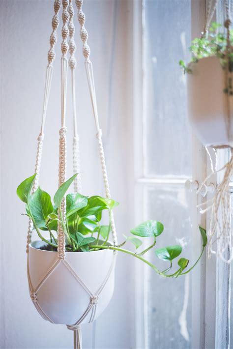 Easy Home-DIY: Macrame Plant Hanger Tutorial - heylilahey.