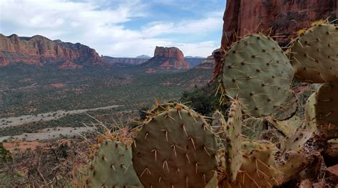 Hiking in Arizona and its National Parks - T and A in the US of A