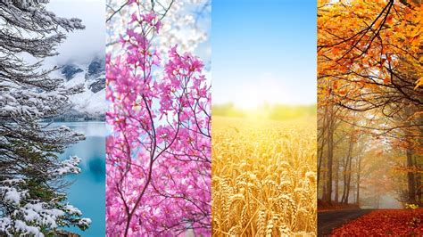 Spring, Summer, Autumn, Winter Wallpapers - Wallpaper Cave