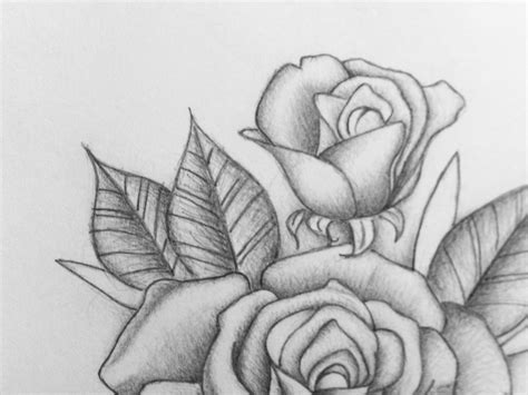 Delicate Pencil Rose Romantic Rose sketch Flower Drawing | Etsy