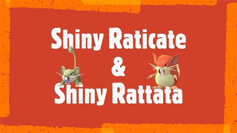 Shiny Raticate & Rattata - Pokémon Let's Go Shiny Series - YouTube