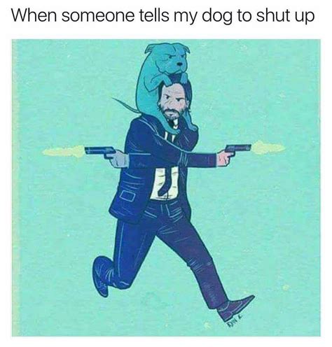 21 Doggo Memes And Pics That'll Get Your Tail Wagging Really Funny ...