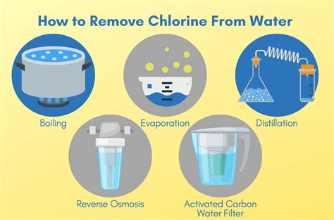 The importance of Pipe Chlorination and Dechlorination | Innovative Plumbing Pros LLC