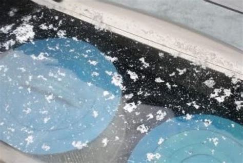 White Water Mold: How To Get Rid Of White Mold | Pool Marvel