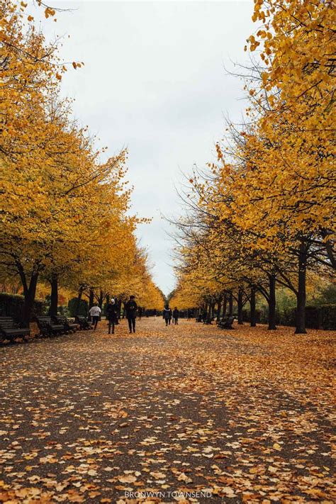 Autumn in London: Where to find the best fall colours 2022