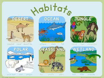 Habitats poster | Animal habitats preschool, Habitats, Animal habitats