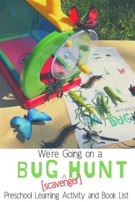 We’re Going on a Bug Hunt! | Preschool learning activities, Preschool learning, Science ...