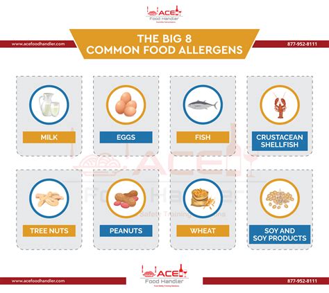 The Big 8 Common Food Allergens for Food Handling | Ace Food Handler