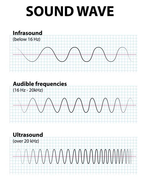 Variances of Ultrasound Frequencies in Radiology Equipment | National Ultrasound