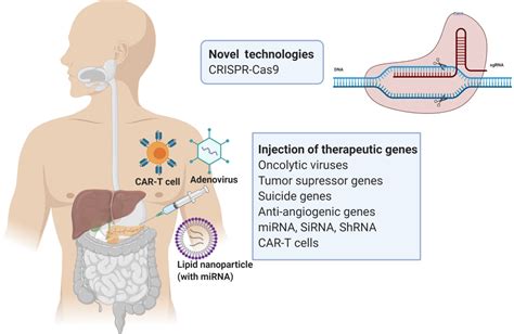 Room for improvement in the treatment of pancreatic cancer: Novel opportunities from gene ...