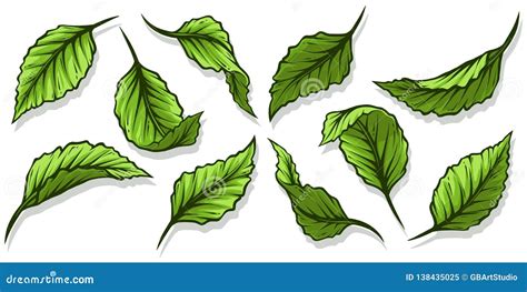 Graphic Cartoon Different Light Green Leaves Set Stock Vector ...