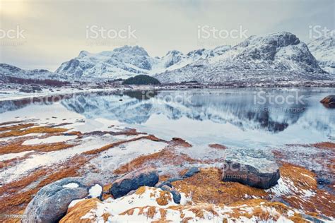 Fjord In Winter Norway Stock Photo - Download Image Now - Beach, Cloud ...