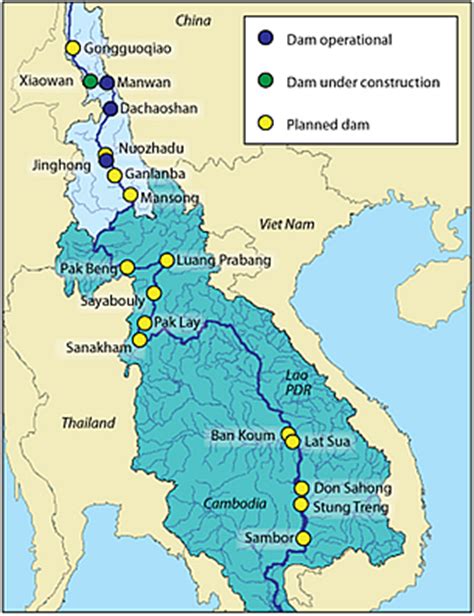 Mekong dams threaten rare giant fish | WWF