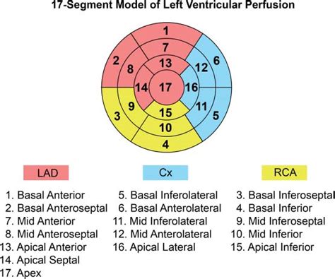 35 Diaphragmatic Attenuation Artifact | Radiology Key