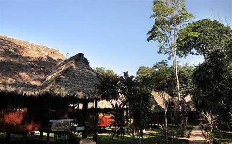 Amazon Rainforest Lodge off the beaten path - Peru Vacations Guide and Tours about Peru