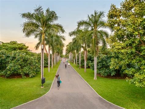 Photographs of the Botanical Garden of Culiacan, Sinaloa 2020 ️