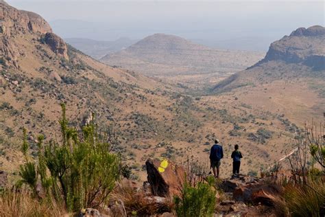 Marakele National Park | Wild Safari Guide | South Africa