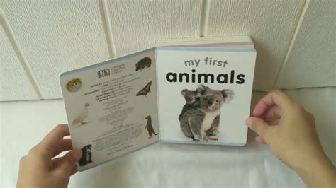 DK My First Animals Board Book - YouTube